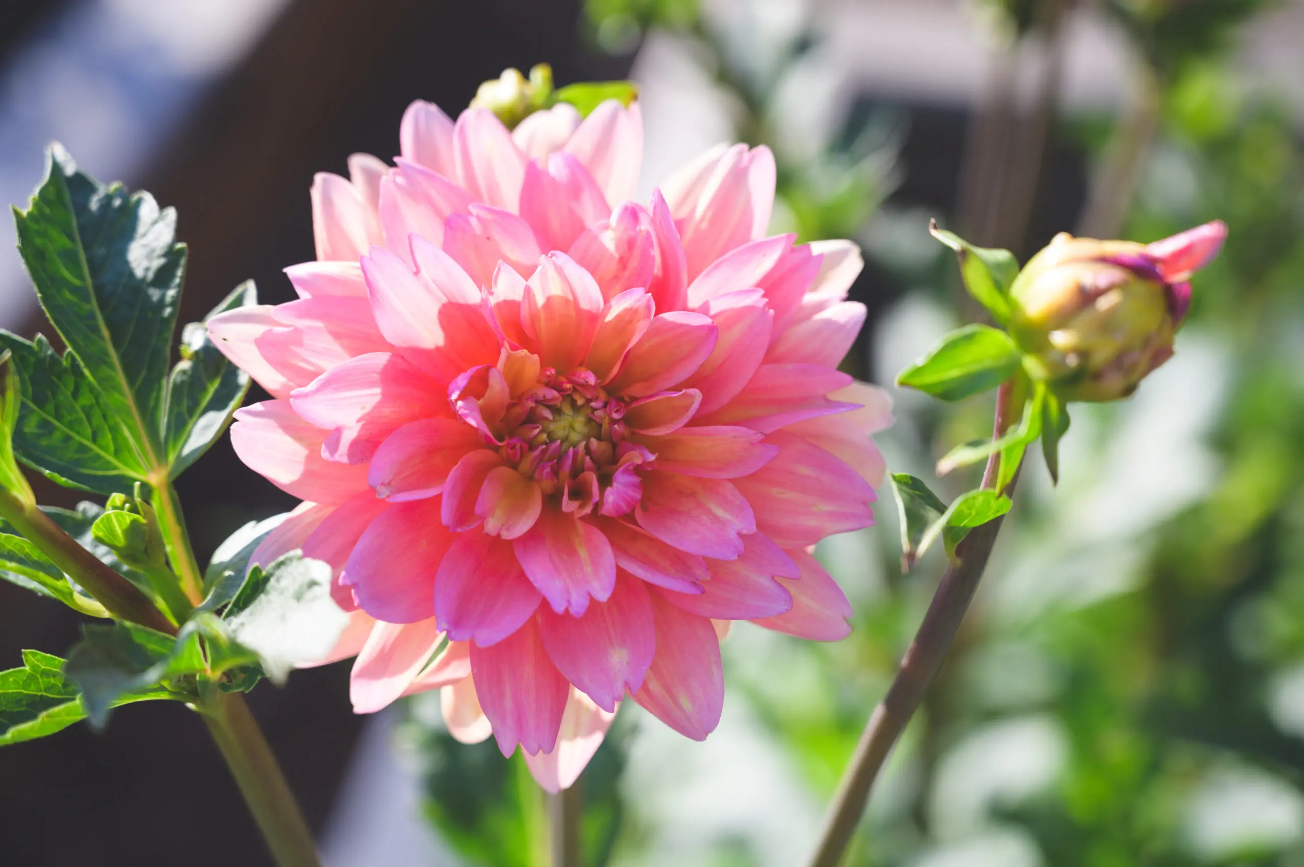 materials-and-care-joy-garden-jewelry-by-amy-sandoval